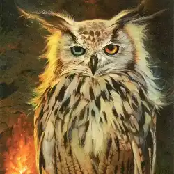 Owletta Portrait